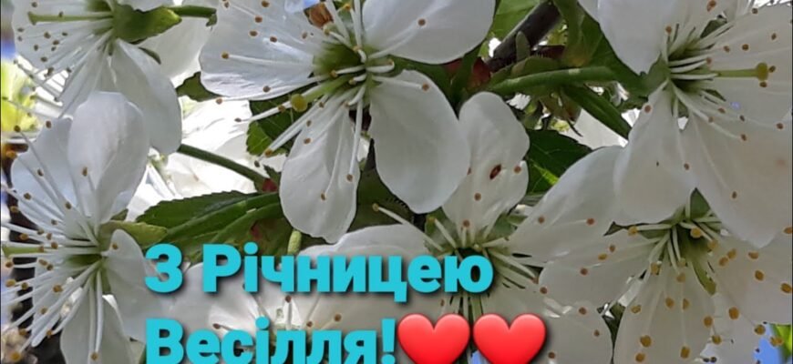 Вітаємо з річницею весілля! Бажаємо трепетного затишку, тепла і добробуту вашій родині