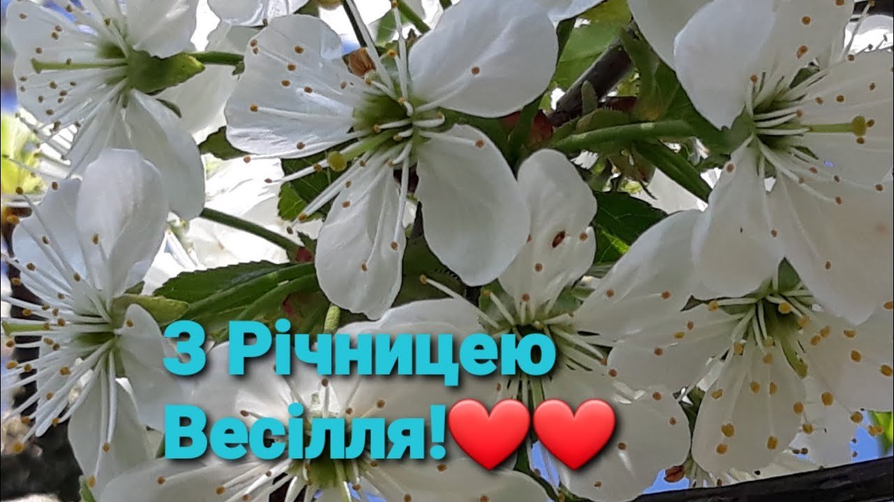 Вітаємо з річницею весілля! Бажаємо трепетного затишку, тепла і добробуту вашій родині
