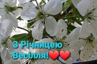 Вітаємо з річницею весілля Ось вже ні багато ні мало-цілих 6 років