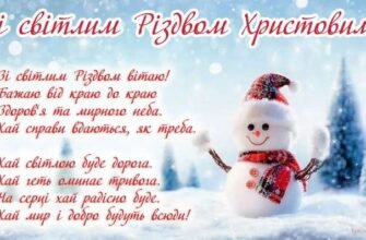 Вітаємо зі святами нового Року та Різдва нехай вони пройдуть так