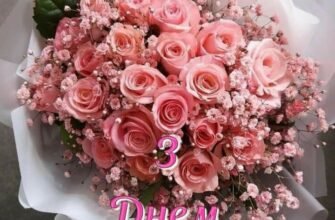 Вітаю з 40-річчям! Від усього серця бажаю під час дощу завжди мати парасольку