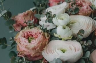 Вітаю з Днем медика і побажати від щирого серця