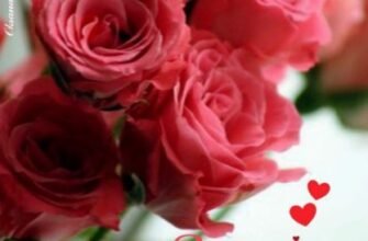 Вітаю з днем народження! Бажаю неймовірної радості