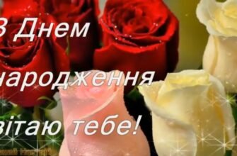 Вітаю з днем народження! Нехай щастя та радість не мають меж