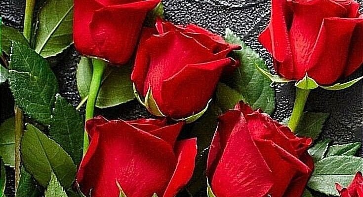 Вітаю з Днем Народження! Нехай всі дні будуть такі як сьогодні