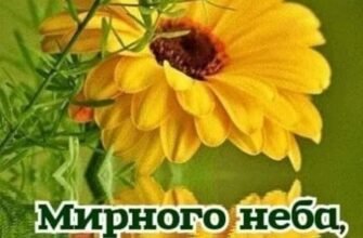 Вітаю з настанням П’ятниці! Бажаю весело провести цей вечір