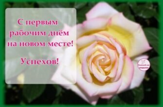 Вітаю з новою роботою, з новими починаннями