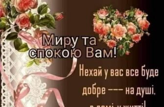 Вітаю з новосіллям. Нехай на новому місці живеться радісно