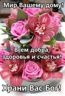 Вітаю з новосіллям. Нехай у вашому новому будинку завжди живуть мир, доброта Вітаю з новосіллям. Нехай у вашому новому будинку завжди живуть мир, доброта