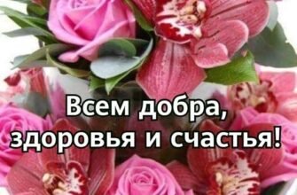 Вітаю з новосіллям. Нехай у вашому новому будинку завжди живуть мир, доброта