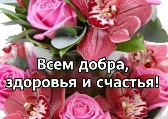 Вітаю з новосіллям. Нехай у вашому новому будинку завжди живуть мир, доброта