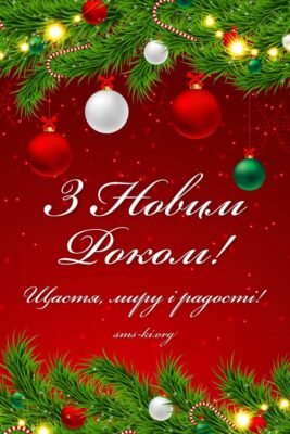 Вітаю з Новим роком! Бажаю нових досягнень