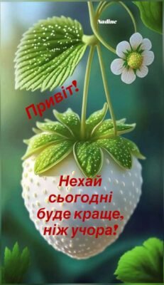 Вітаю з П’ятницею і від душі бажаю чудово провести цей день