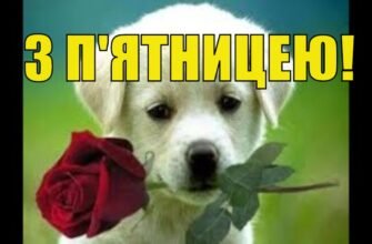 Вітаю з П’ятницею і хочу побажати мегакрутих, веселих вихідних