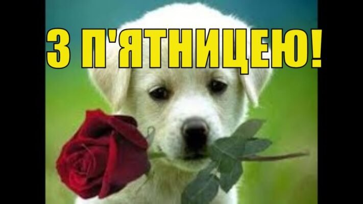 Вітаю з П’ятницею і хочу побажати мегакрутих, веселих вихідних