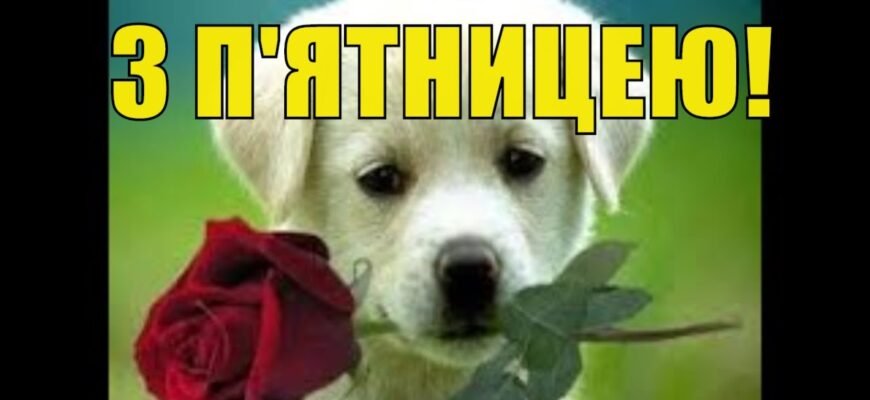 Вітаю з П’ятницею і хочу побажати мегакрутих, веселих вихідних