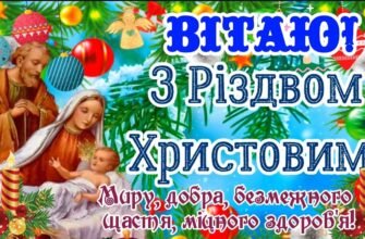 Вітаю з Різдвом Христовим! Бажаю тепла і затишку в домі