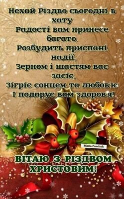 Вітаю з Різдвом Христовим! У цей світлий празник бажаю миру і добра