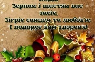 Вітаю з Різдвом Христовим! У цей світлий празник бажаю миру і добра
