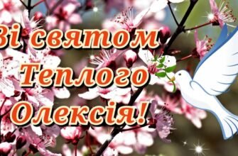 Вітаю з теплим святом — Трійці!