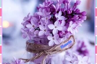 Вітаю з цією радісною подією, з відпусткою