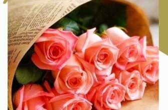 Вітаю з Вашим 80-річчям і хочу побажати ні про що не турбуватися