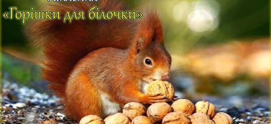 Всі жінки як сороки: люблять яскраве, красиве і блискуче