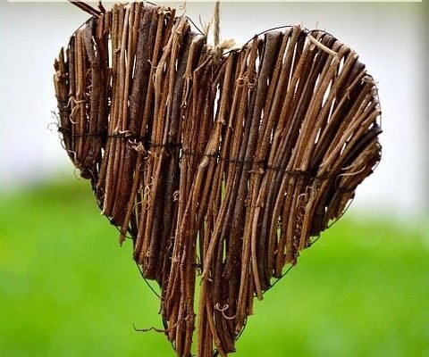 Всі знають, що справжній друг — не той, що з’являється тільки тоді