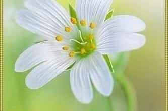 Всім, хто служить медицині, хочеться від душі побажати благополуччя