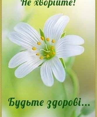 Всім, хто служить медицині, хочеться від душі побажати благополуччя