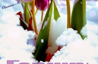 Вихідних хочу приємних Від душі вам побажати