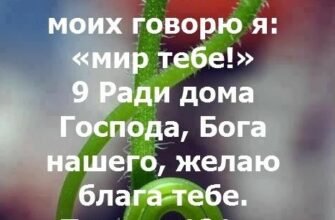 Вип’ємо за ВДВ – Віру, Доблесть та Везіння!
