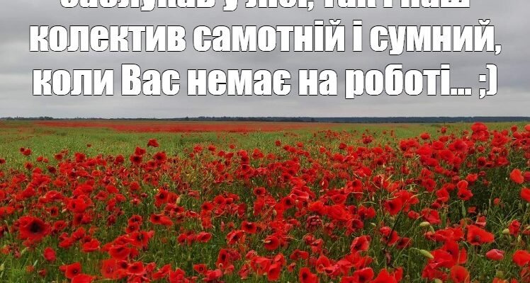 Високо в горах мешкав найвільніший вітер Він був швидкий як удар блискавки Високо в горах мешкав найвільніший вітер Він був швидкий як удар блискавки