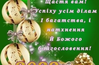 Я, Дід Мороз, прийшов привітати всіх вас із Новим Роком!