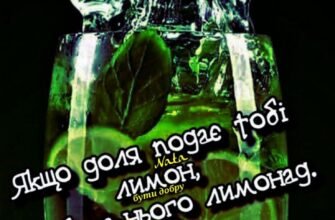 Я хочу підняти цей келих і випити, за найкрасивіших