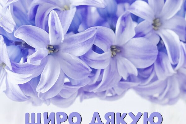 Я хочу щиро подякувати вам за приємні привітання