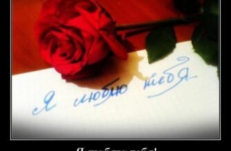 Я люблю тебе за твою ніжність, турботу