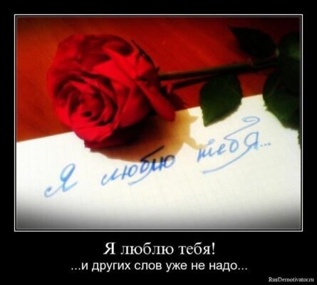 Я люблю тебе за твою ніжність, турботу