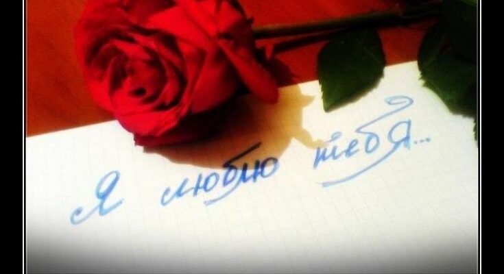 Я люблю тебе за твою ніжність, турботу