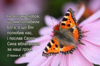 Я не знав такої доброти я не вірив в таку любов