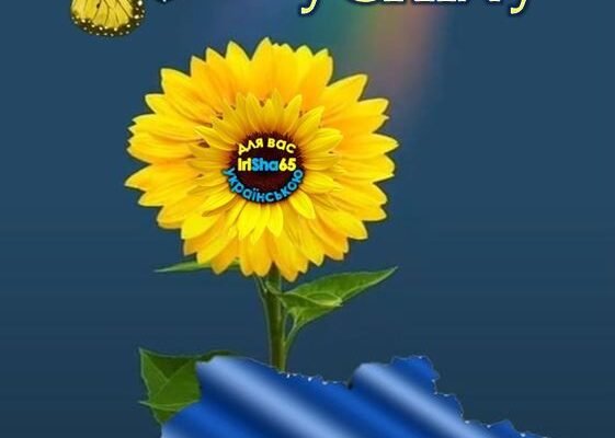 Я щиро бажаю тобі великого успіху