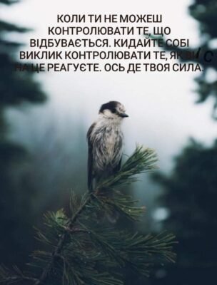 Як кажуть на Кавказі, годуй барана змолоду