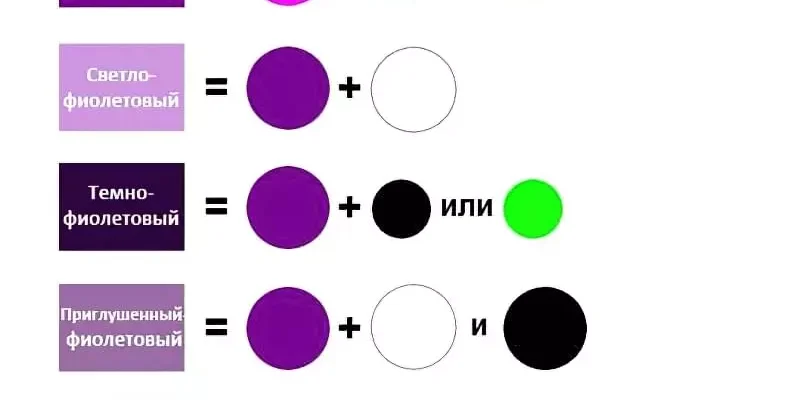 Як самостійно отримати фіолетовий колір, змішуючи різні фарби