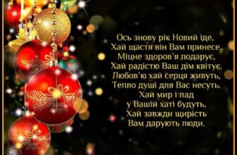 Як прийнято вважати, Новий Рік потрібно зустрічати без боргів