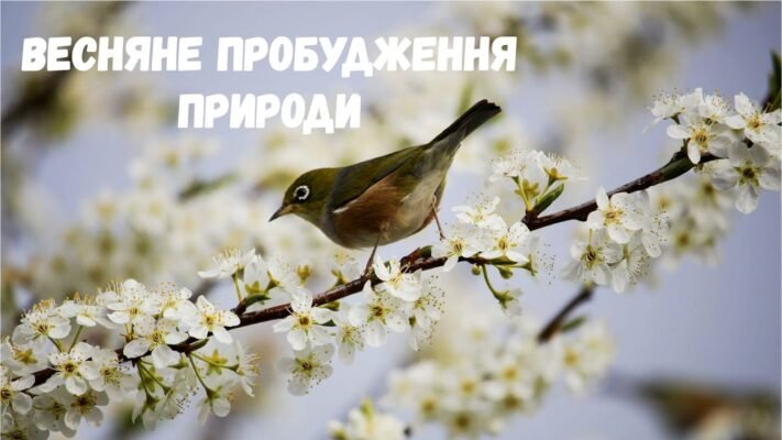 Як з приходом весни прокидається природа