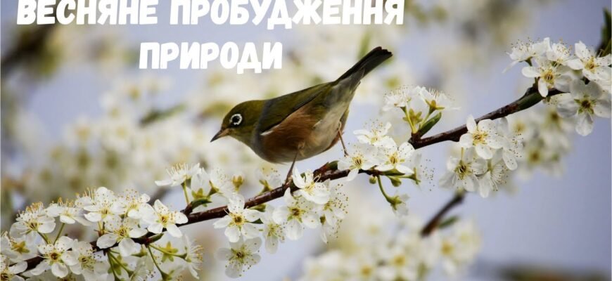 Як з приходом весни прокидається природа