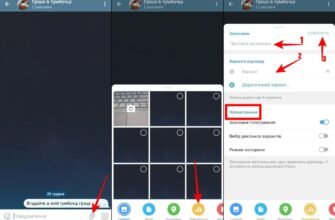 Як створити опитування в Telegram у 2024 році: покрокова інструкція