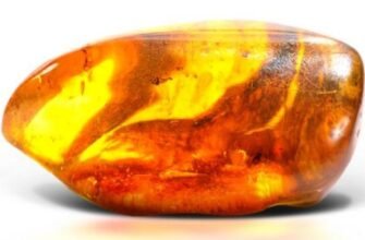 Бурштин: що це таке, його походження та значення в Україні