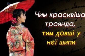 Є стародавня японська приказка, яка говорить про те, що щастя