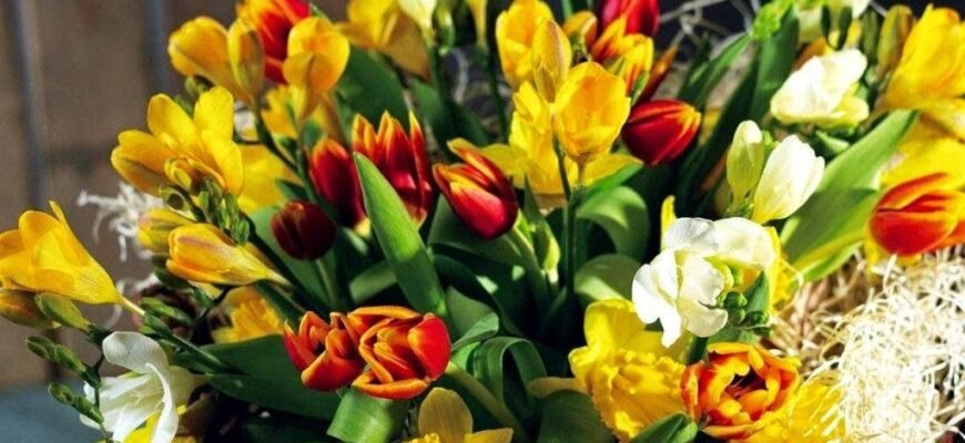 З 8 Березня! Бажаю розкішних квітів